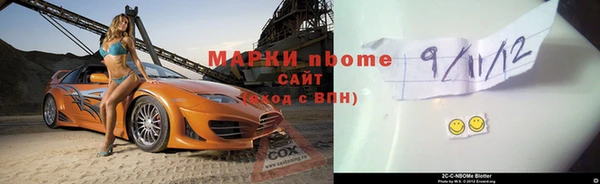 прущие грибы Протвино