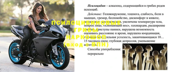 a pvp Лиски
