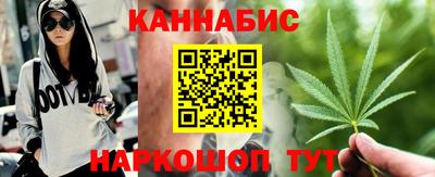 индика Заволжье