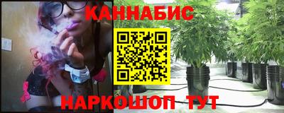 индика Заволжье
