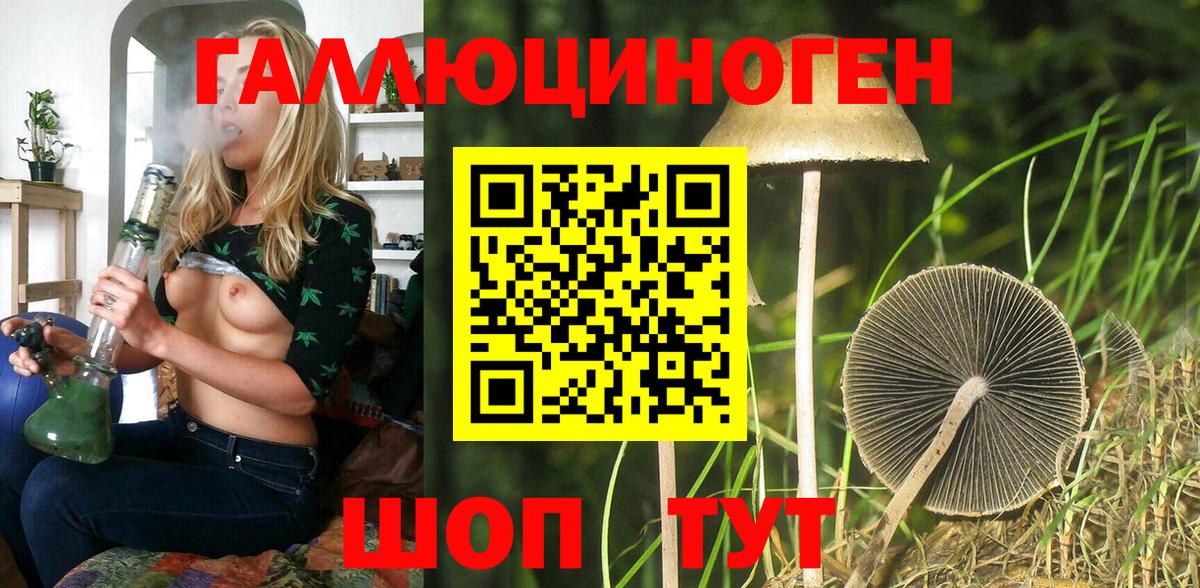 Северск  Галлюциногенные грибы MAGIC MUSHROOMS  Псилоцибиновые грибы Cubensis  Вход с VPN 