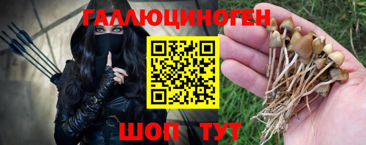 Псилоцибиновые грибы мицелий Северск