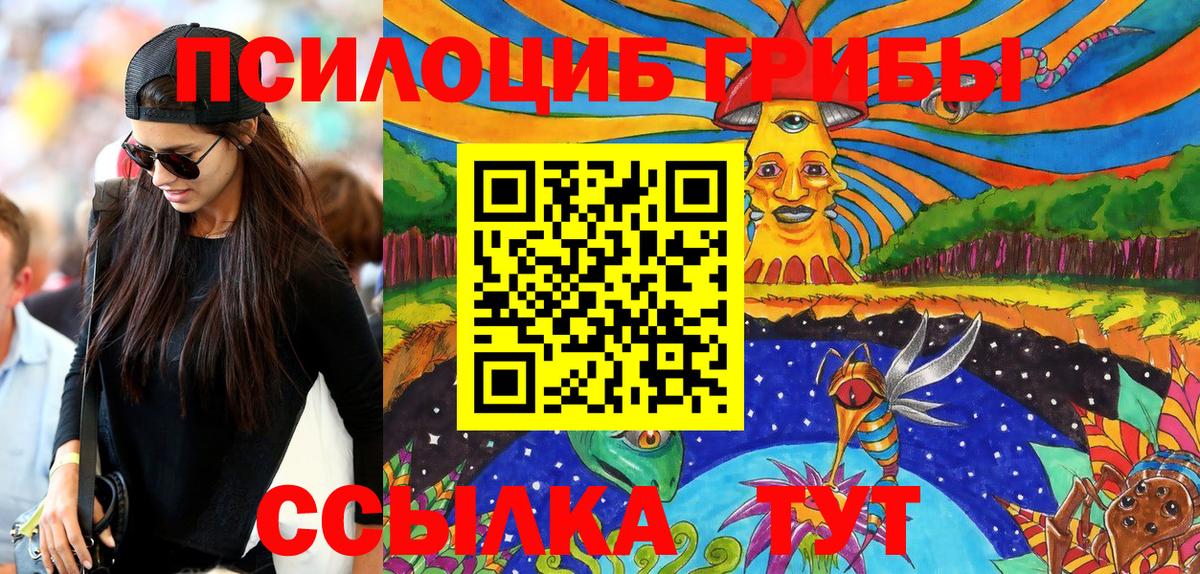 Псилоцибиновые грибы ЛСД Северск